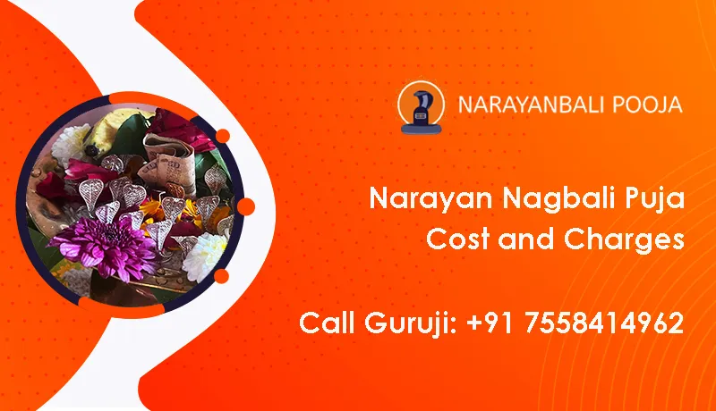 Narayan Nagbali Puja Cost And Charges